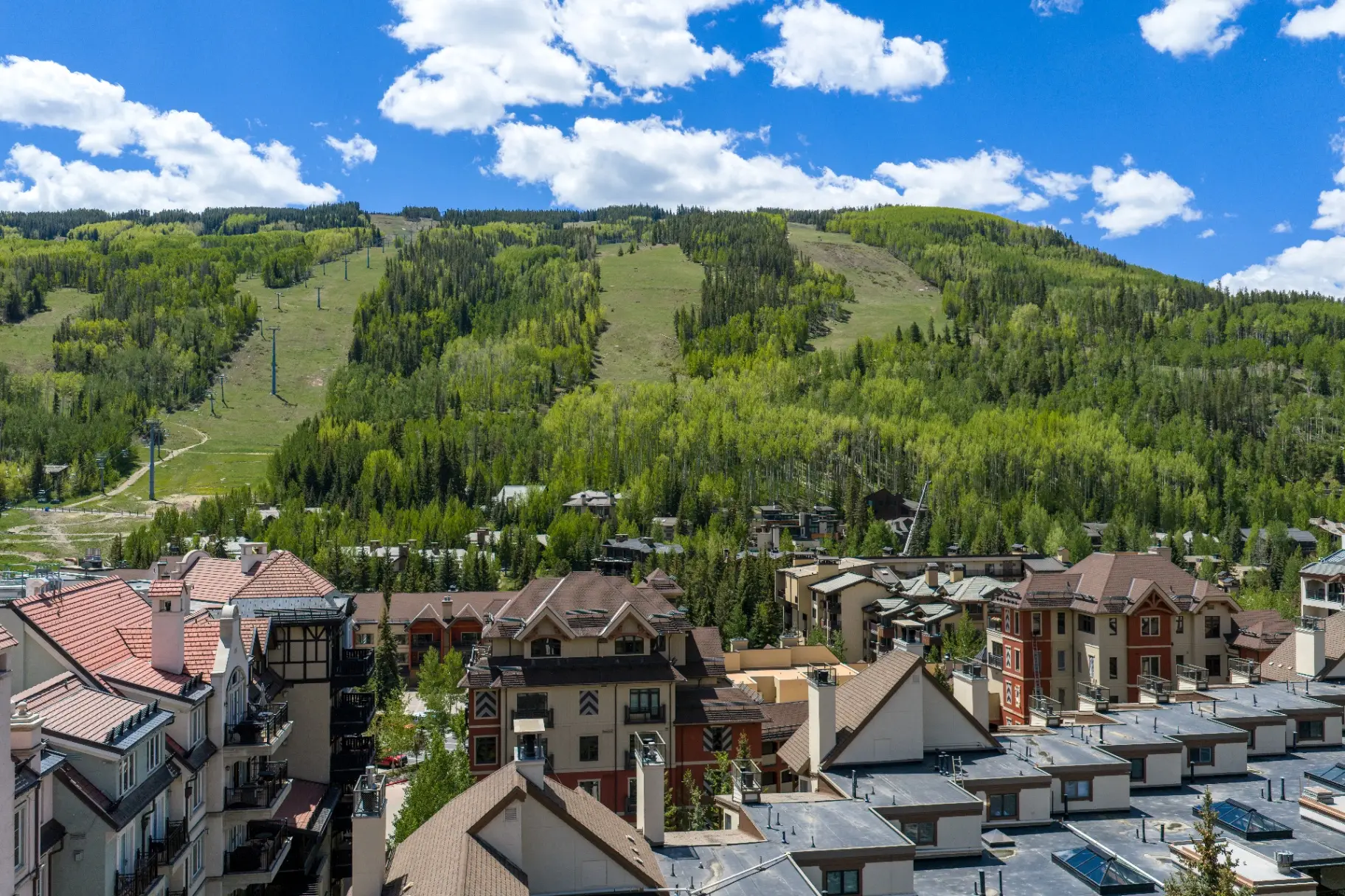 Vail Mountain ski runs in summer